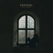 Chart track